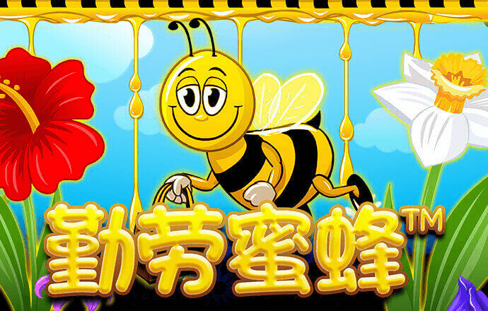 bti体育app官方网站